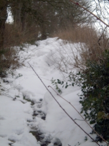 Snow blocks the Shropshire Way
