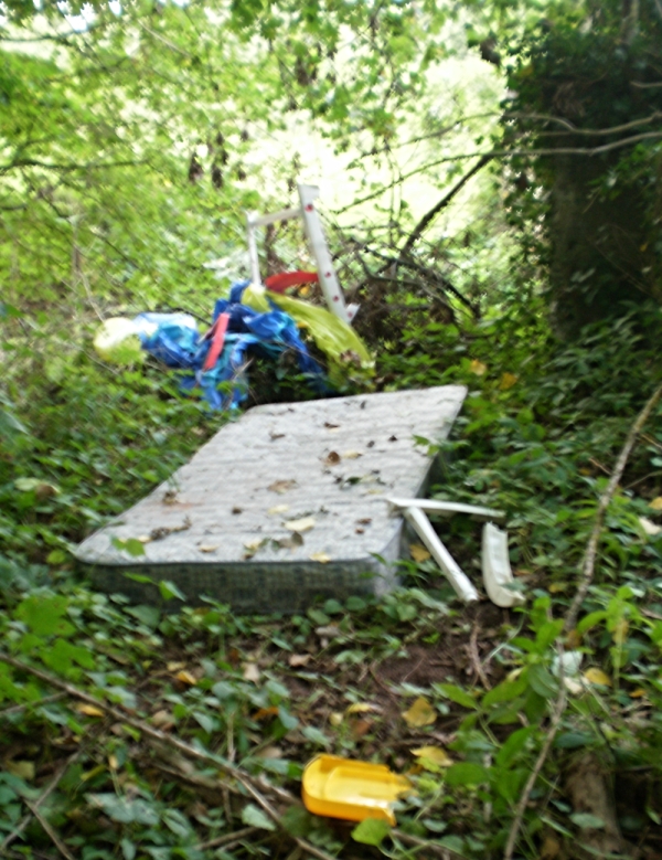 Fly tipping on Squirrel Lane