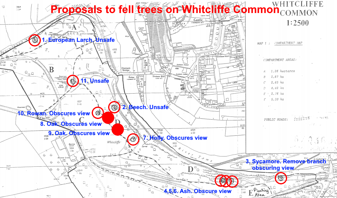 Whitcliffe_tree_plan